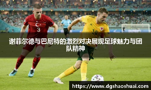 谢菲尔德与巴尼特的激烈对决展现足球魅力与团队精神